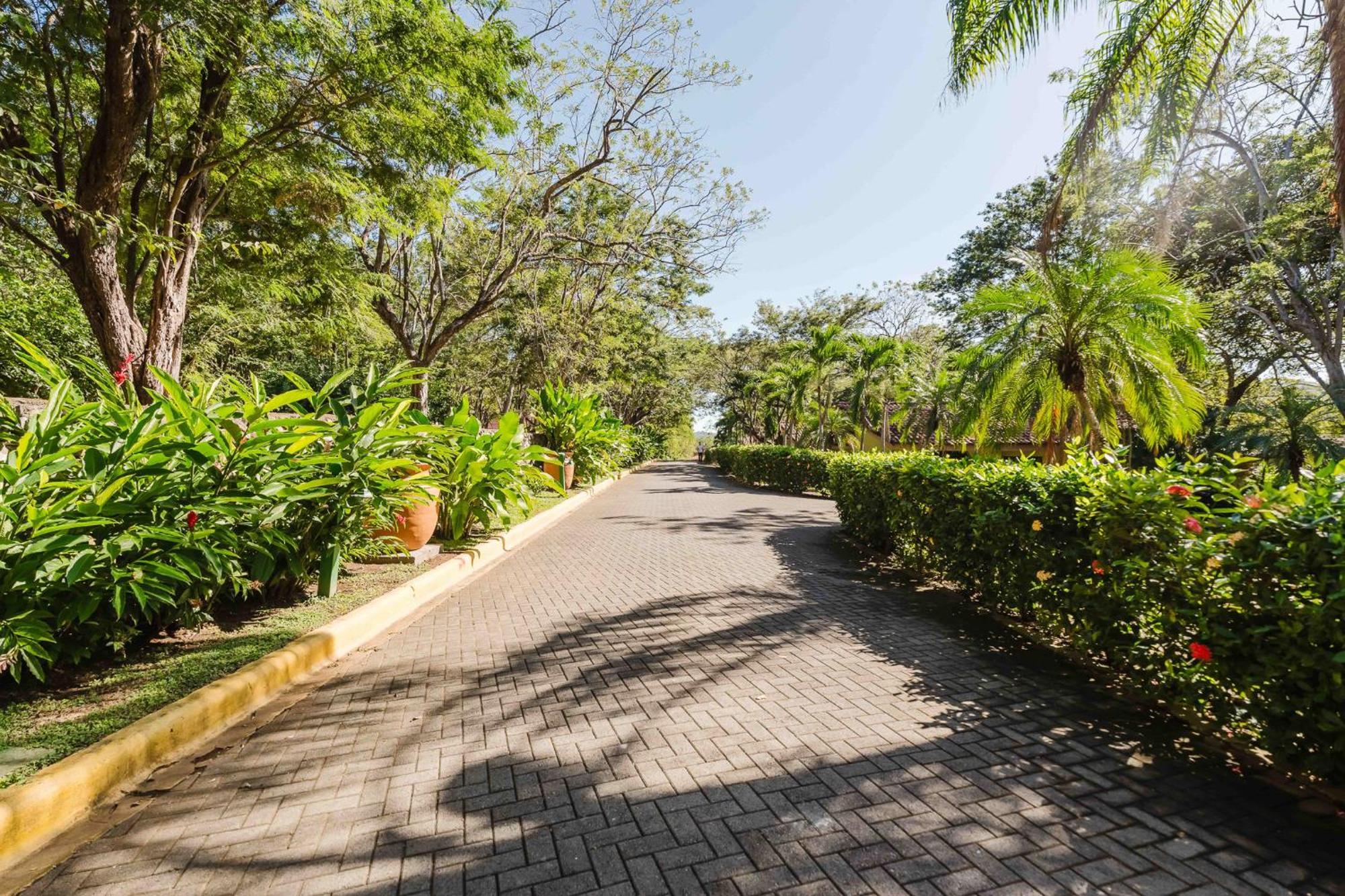 Papagayo Golden Palms Beachfront Hotel Panamá Extérieur photo